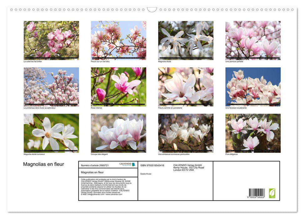 Magnolias en fleur (CALVENDO Calendrier mensuel 2026)