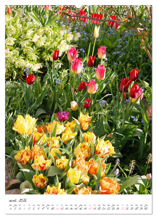 Heureux au jardin (CALVENDO Calendrier mensuel 2026)