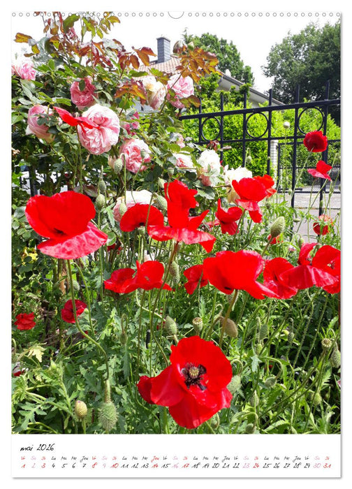 Heureux au jardin (CALVENDO Calendrier mensuel 2026)