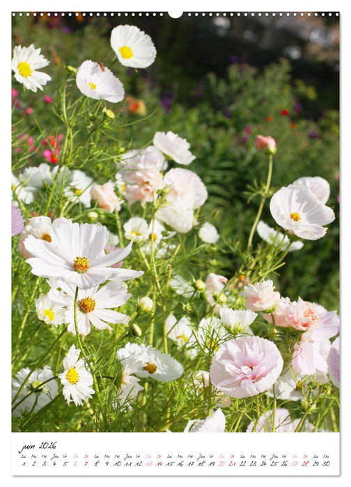 Heureux au jardin (CALVENDO Calendrier mensuel 2026)