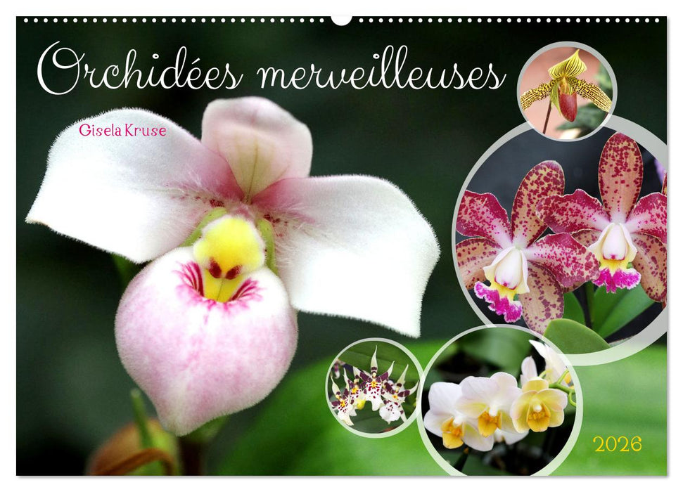 Orchidées merveilleuses (CALVENDO Calendrier mensuel 2026)