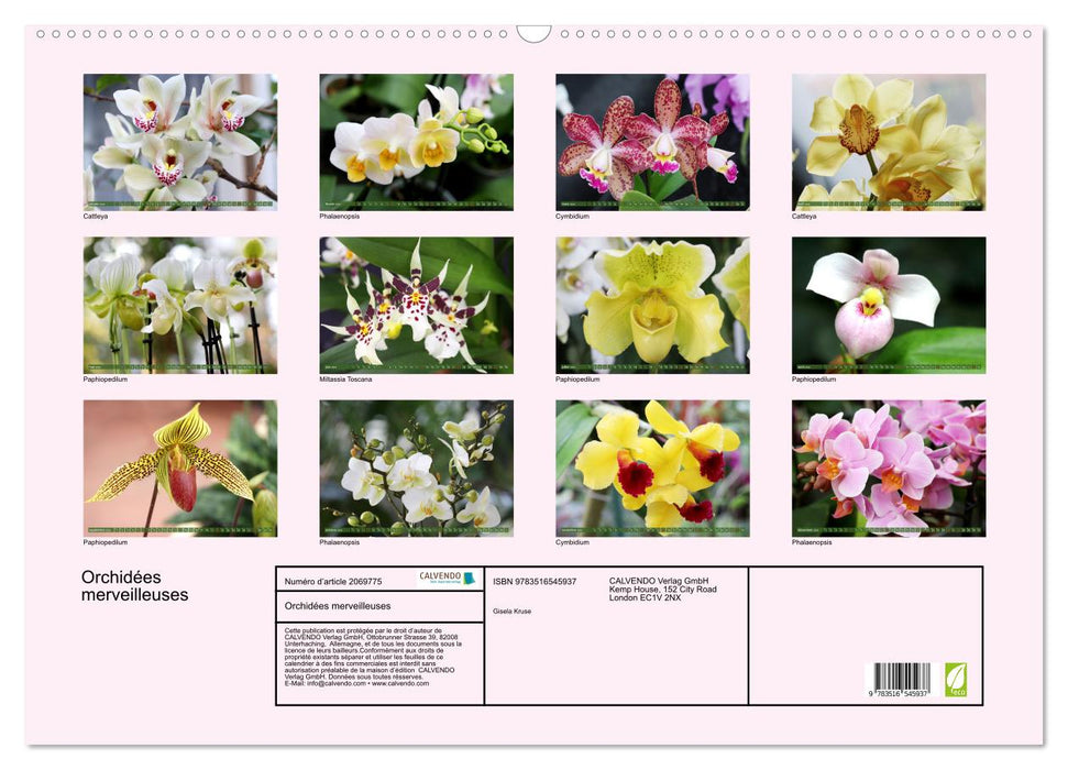 Orchidées merveilleuses (CALVENDO Calendrier mensuel 2026)