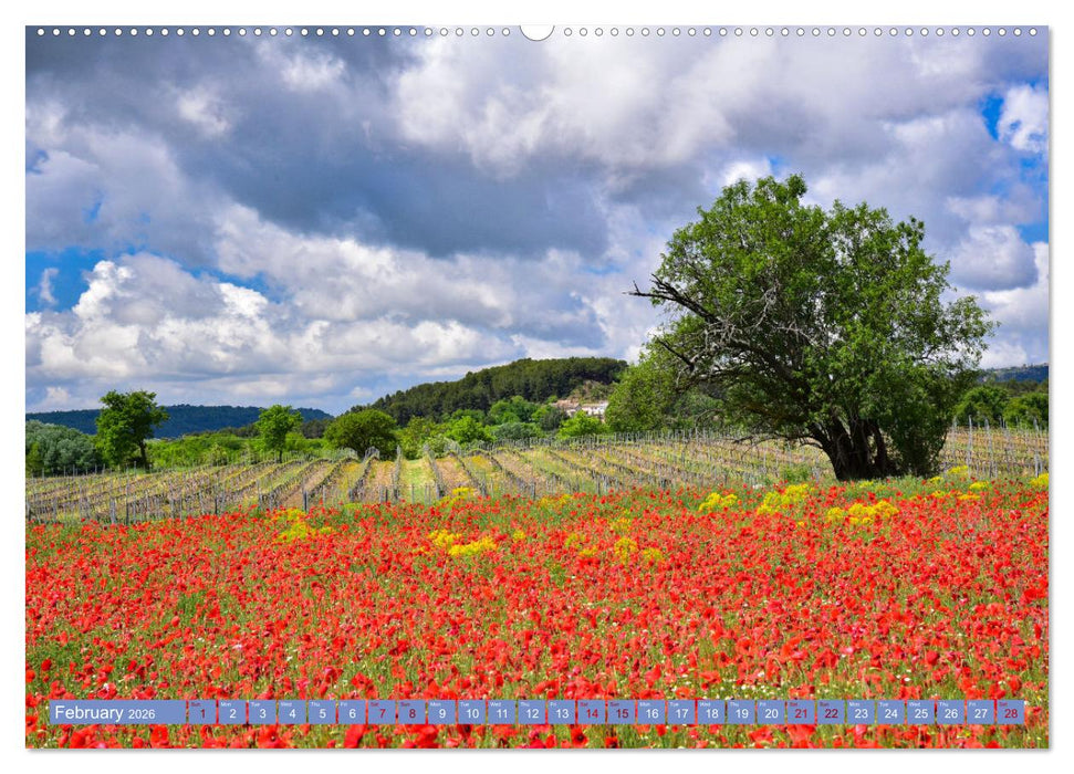 Discover the Beauty of Provence (CALVENDO Premium-Calendar 2026)