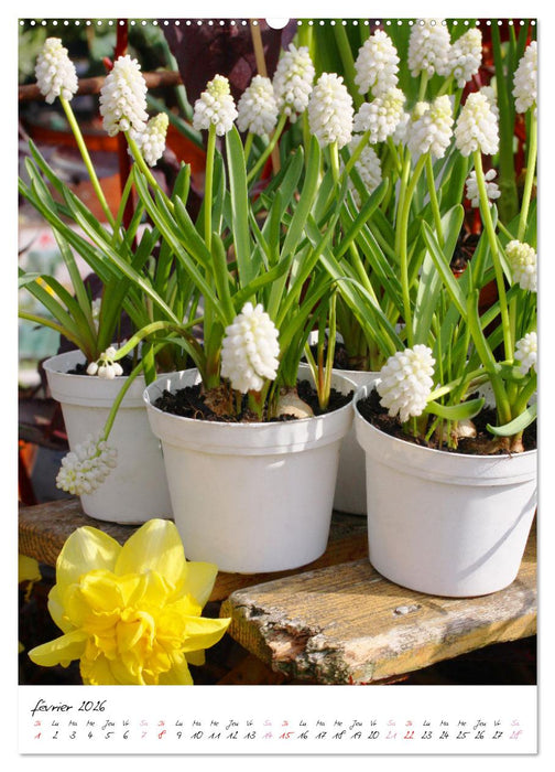 Heureux au jardin (CALVENDO Calendrier supérieur 2026)