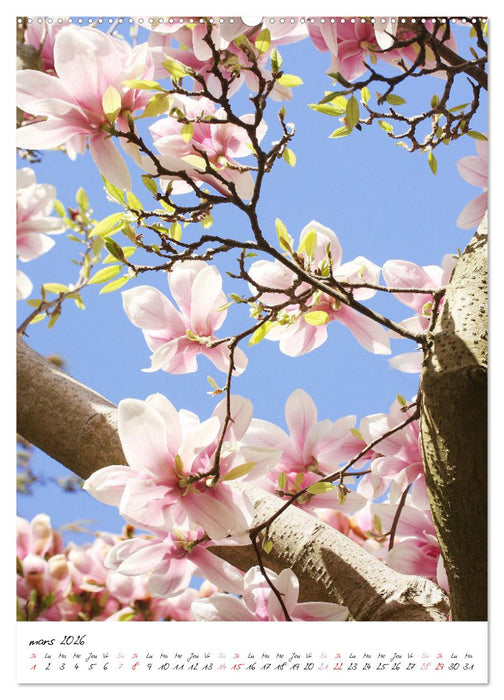 Heureux au jardin (CALVENDO Calendrier supérieur 2026)