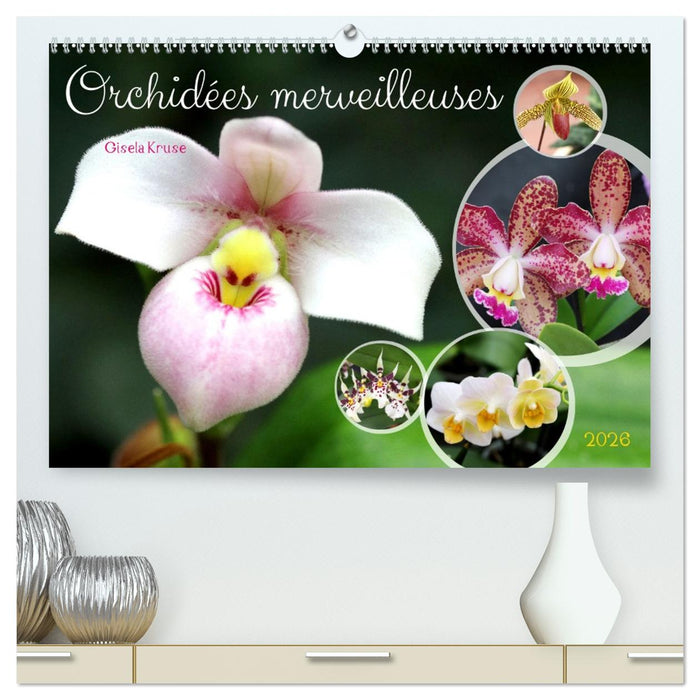 Orchidées merveilleuses (CALVENDO Calendrier supérieur 2026)