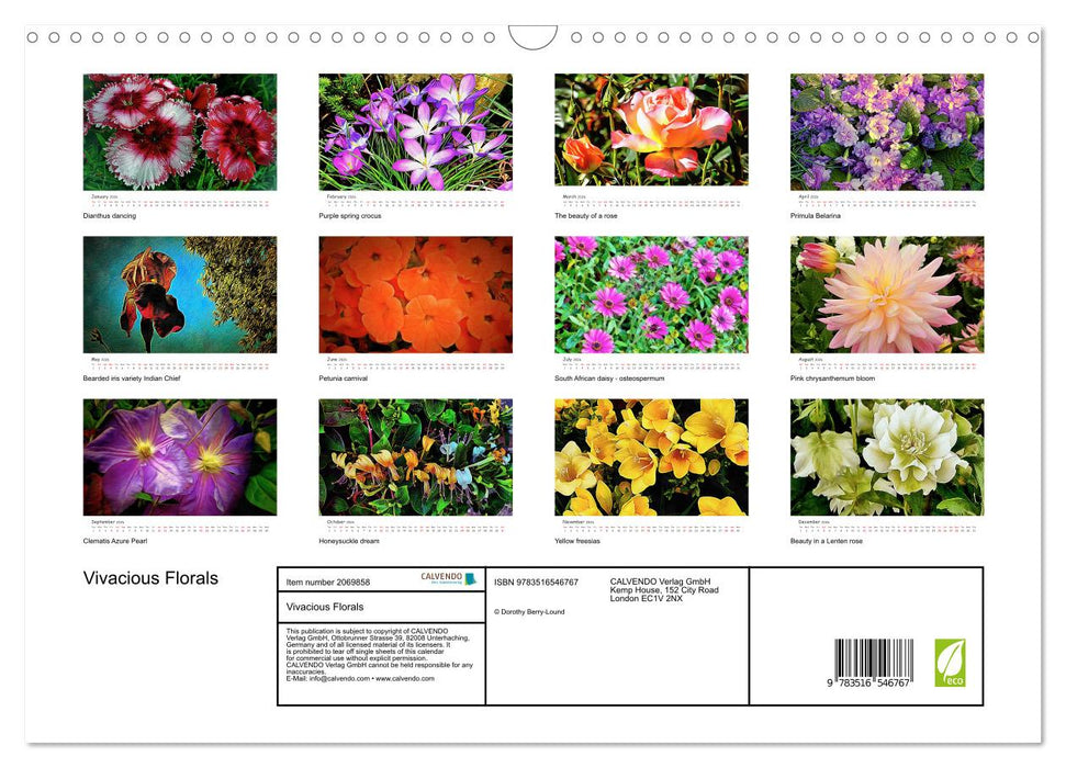 Vivacious Florals (CALVENDO Monthly Calendar 2026)
