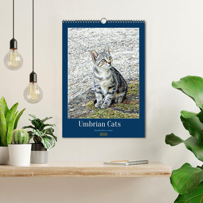 Umbrian Cats (CALVENDO Monthly Calendar 2026)