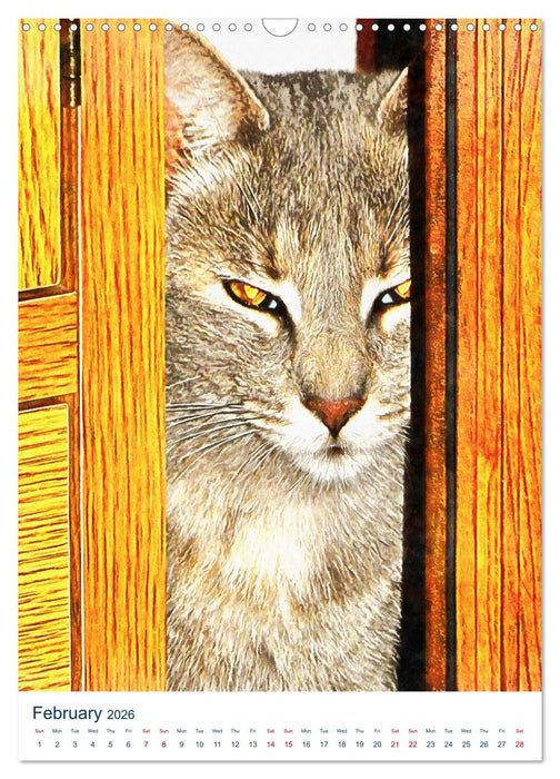 Umbrian Cats (CALVENDO Monthly Calendar 2026)