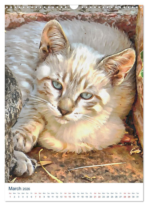 Umbrian Cats (CALVENDO Monthly Calendar 2026)