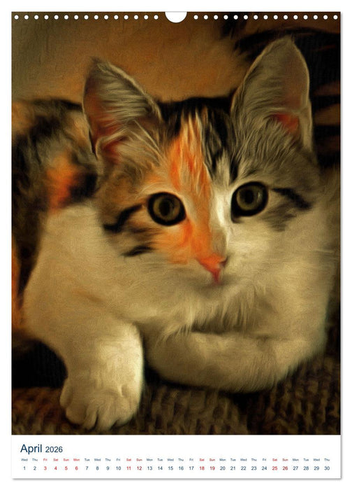 Umbrian Cats (CALVENDO Monthly Calendar 2026)