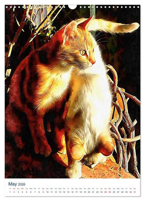 Umbrian Cats (CALVENDO Monthly Calendar 2026)