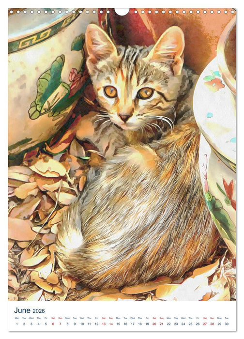 Umbrian Cats (CALVENDO Monthly Calendar 2026)