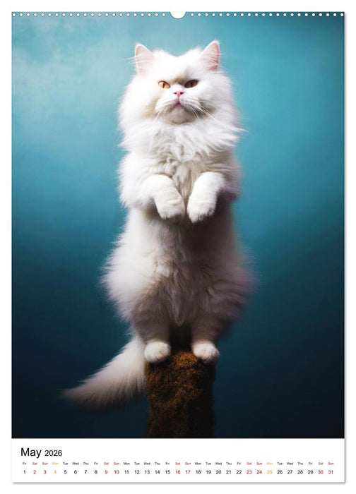 Meow Yoga (CALVENDO Premium-Calendar 2026)