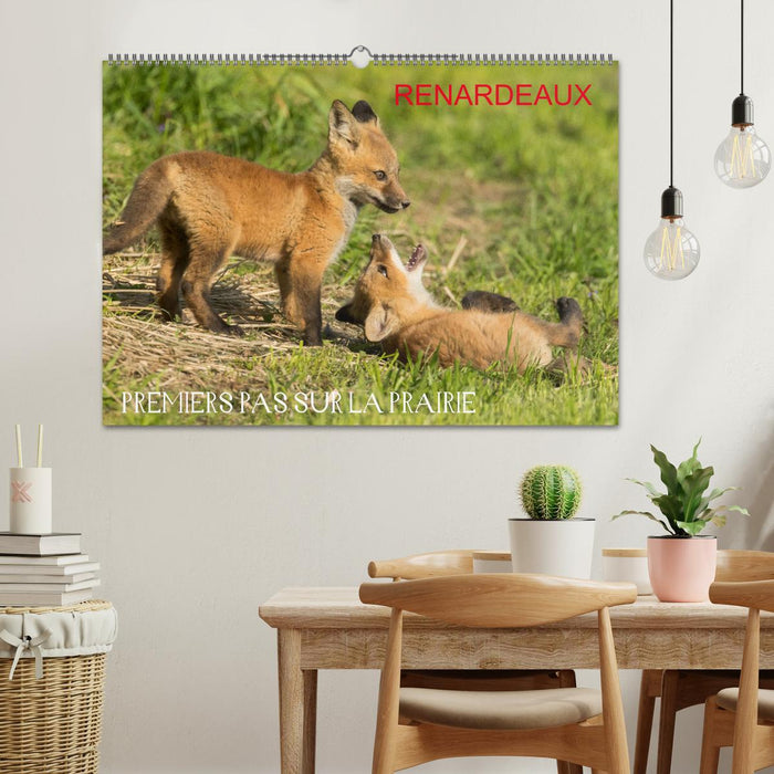 Renardeaux. Premiers pas sur la prairie (CALVENDO Calendrier mensuel 2026)