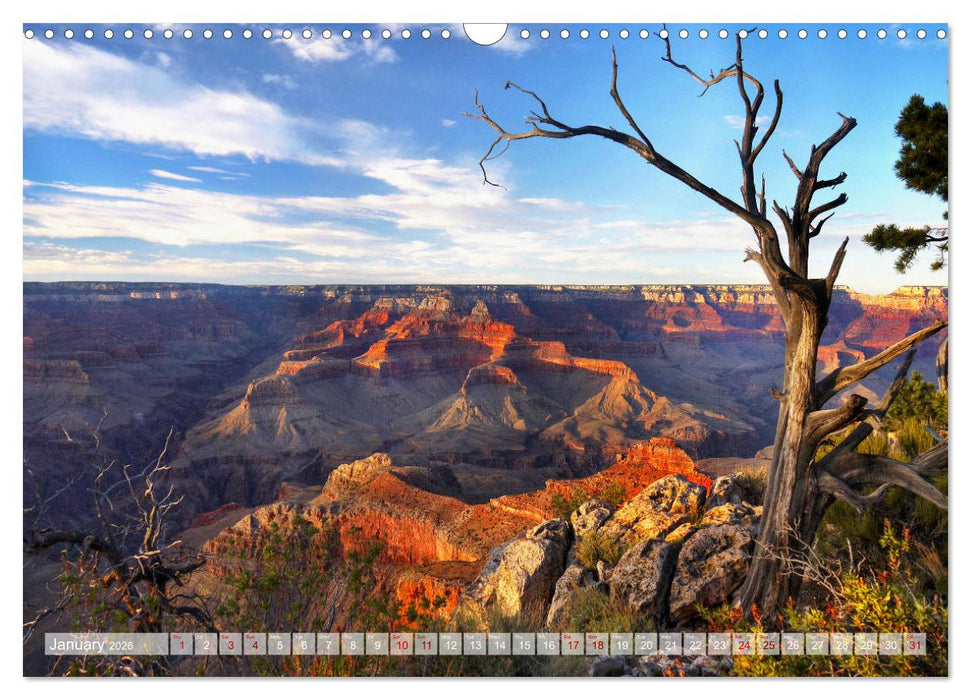 Grand Canyon National Park (CALVENDO Monthly Calendar 2026)