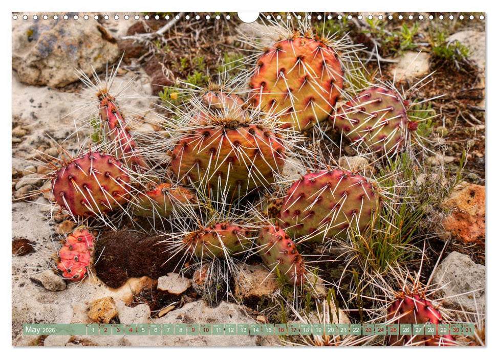 Grand Canyon National Park (CALVENDO Monthly Calendar 2026)