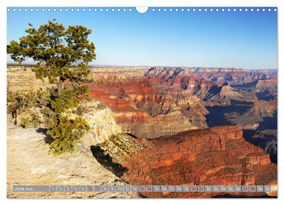 Grand Canyon National Park (CALVENDO Monthly Calendar 2026)