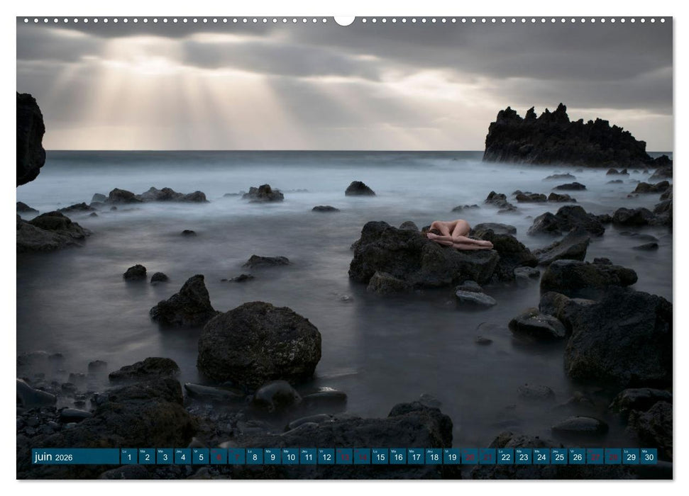 Passion du nu artistique (CALVENDO Calendrier supérieur 2026)