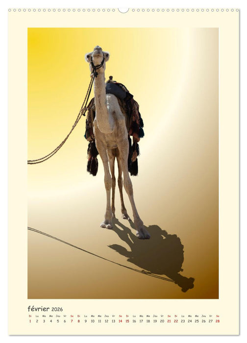 INDE pays aux couleurs éblouissantes (CALVENDO Calendrier mensuel 2026)