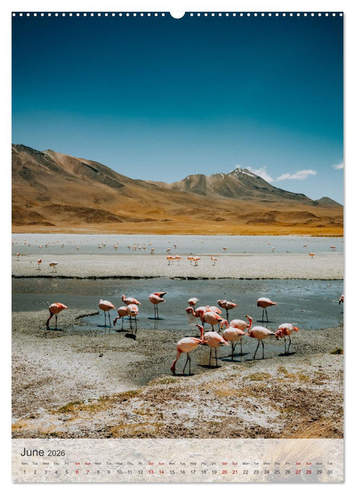 Longing for Travel (CALVENDO Monthly Calendar 2026)