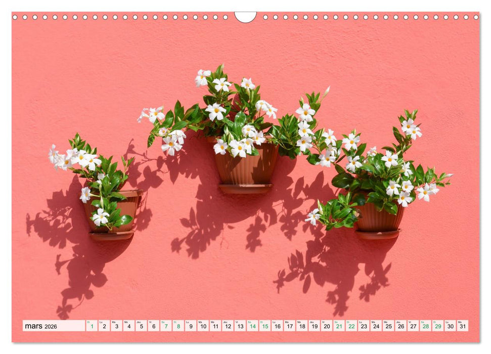 Burano et Minimalisme (CALVENDO Calendrier mensuel 2026)