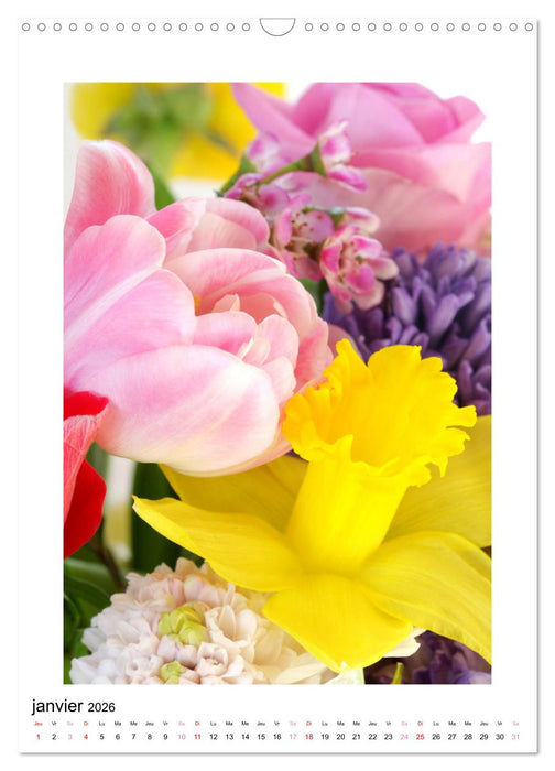 Fleurs fascinantes aux couleurs vives (CALVENDO Calendrier mensuel 2026)
