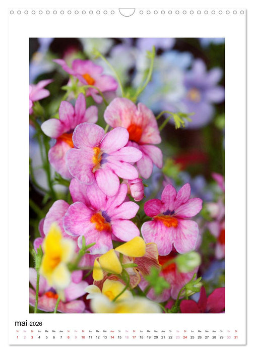 Fleurs fascinantes aux couleurs vives (CALVENDO Calendrier mensuel 2026)