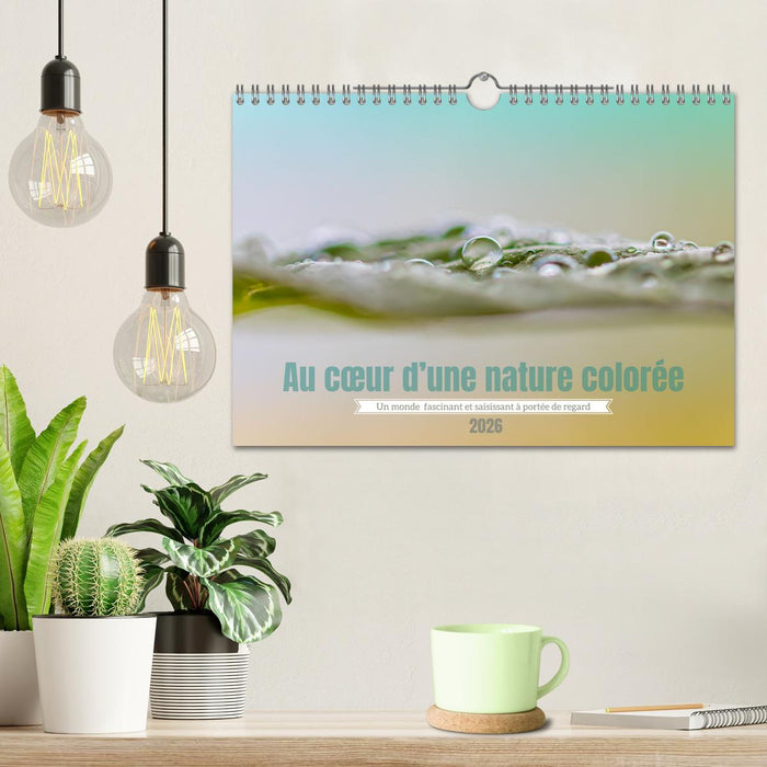 Au cœur d’une nature colorée (CALVENDO Calendrier mensuel 2026)