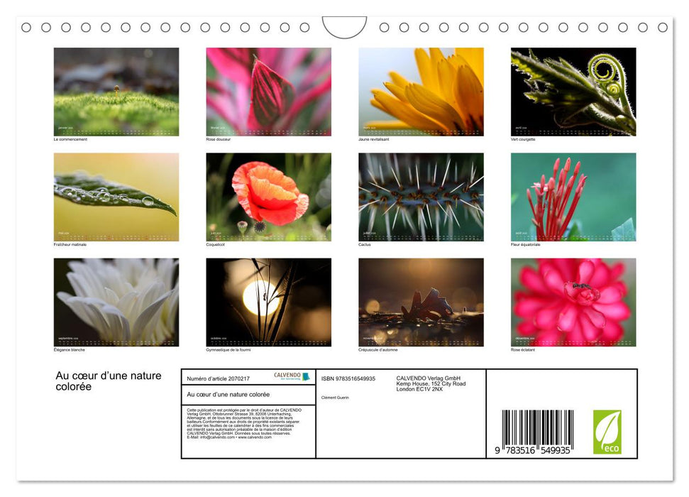 Au cœur d’une nature colorée (CALVENDO Calendrier mensuel 2026)