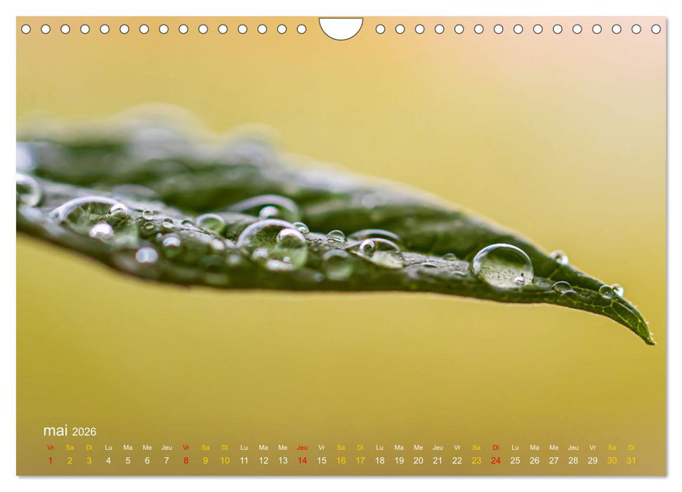 Au cœur d’une nature colorée (CALVENDO Calendrier mensuel 2026)