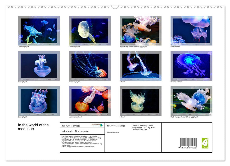 In the world of the medusae (CALVENDO Premium-Calendar 2026)