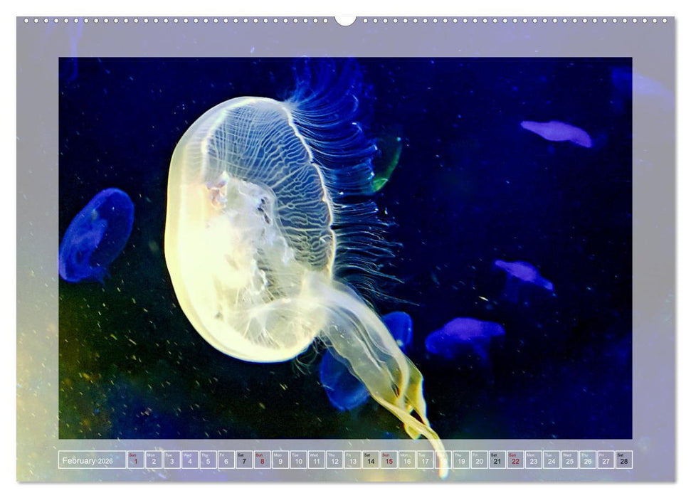 In the world of the medusae (CALVENDO Premium-Calendar 2026)
