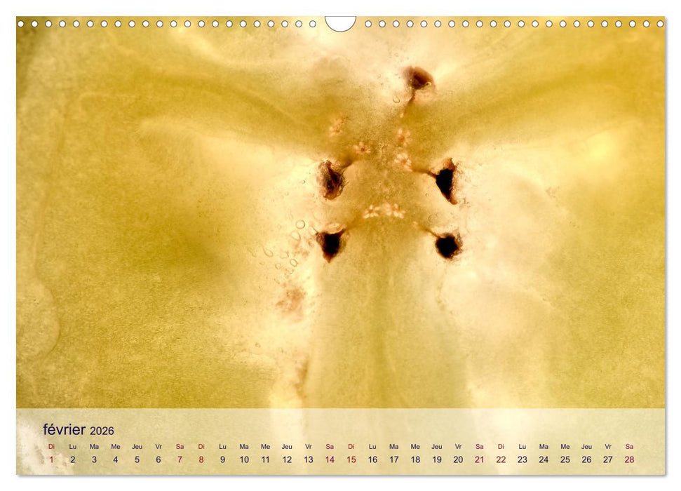 Cœur de fruits cœur de légumes (CALVENDO Calendrier mensuel 2026)