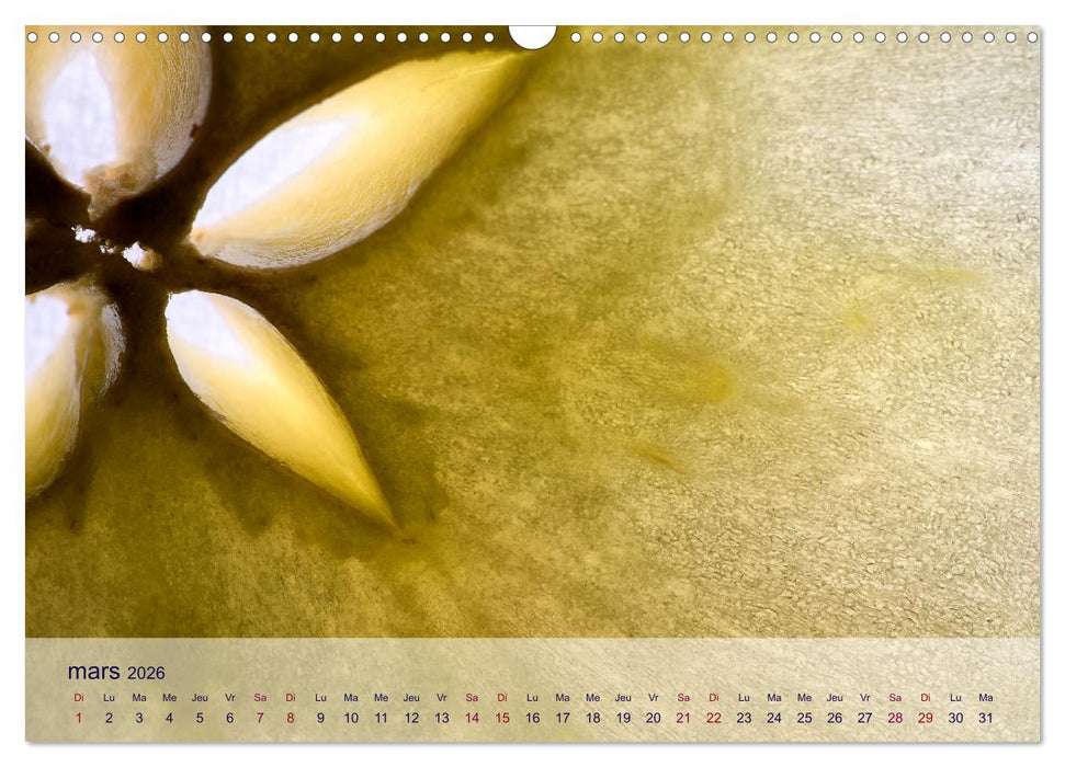 Cœur de fruits cœur de légumes (CALVENDO Calendrier mensuel 2026)