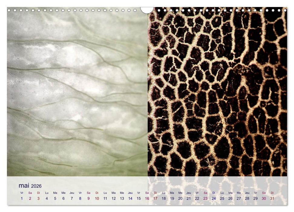 Cœur de fruits cœur de légumes (CALVENDO Calendrier mensuel 2026)