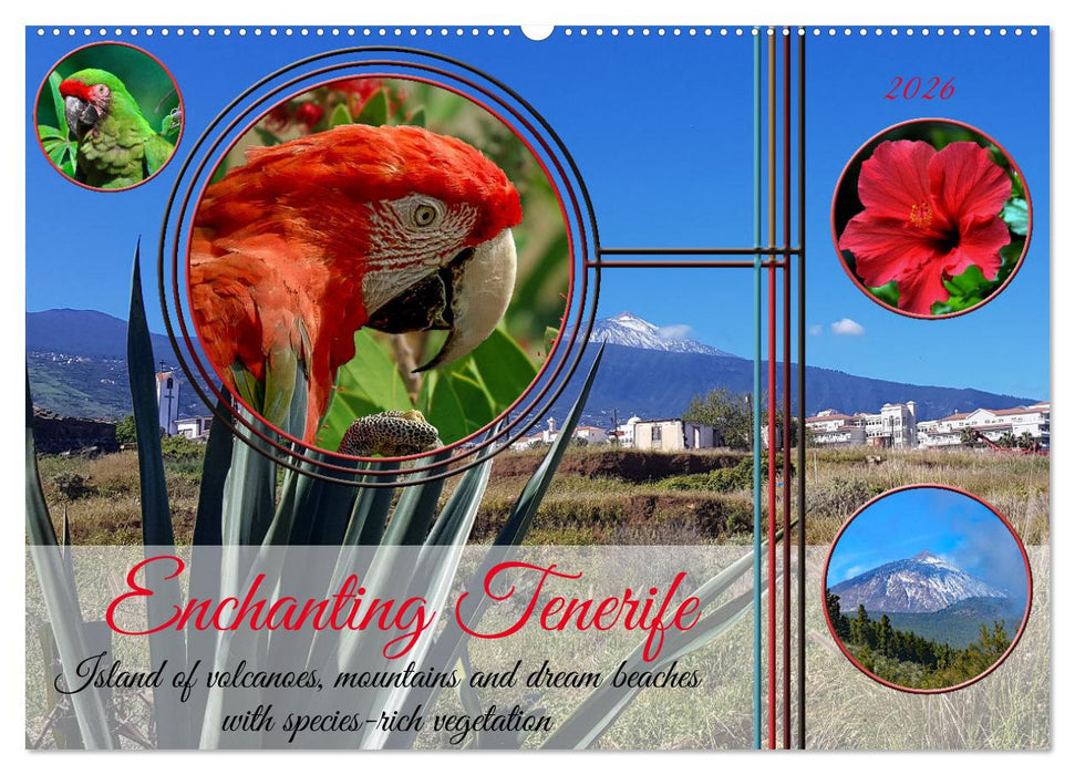 Enchanting Tenerife (CALVENDO Monthly Calendar 2026)