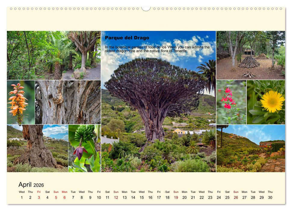 Enchanting Tenerife (CALVENDO Monthly Calendar 2026)