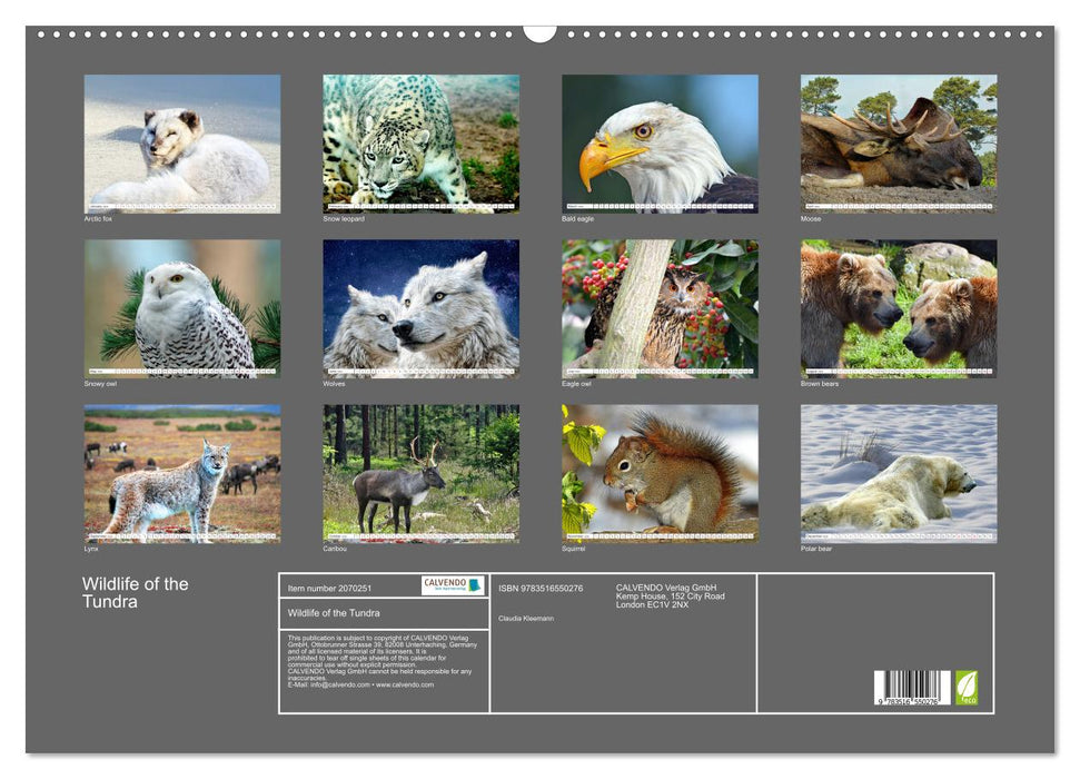 Wildlife of the Tundra (CALVENDO Monthly Calendar 2026)