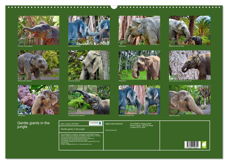 Gentle giants in the jungle (CALVENDO Monthly Calendar 2026)