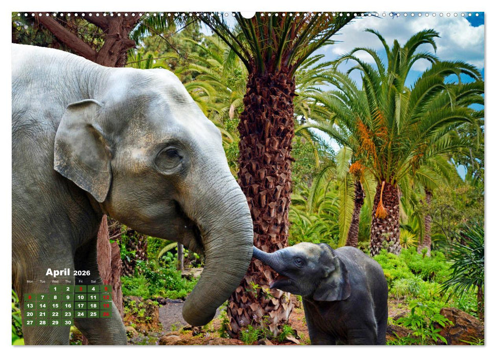 Gentle giants in the jungle (CALVENDO Monthly Calendar 2026)