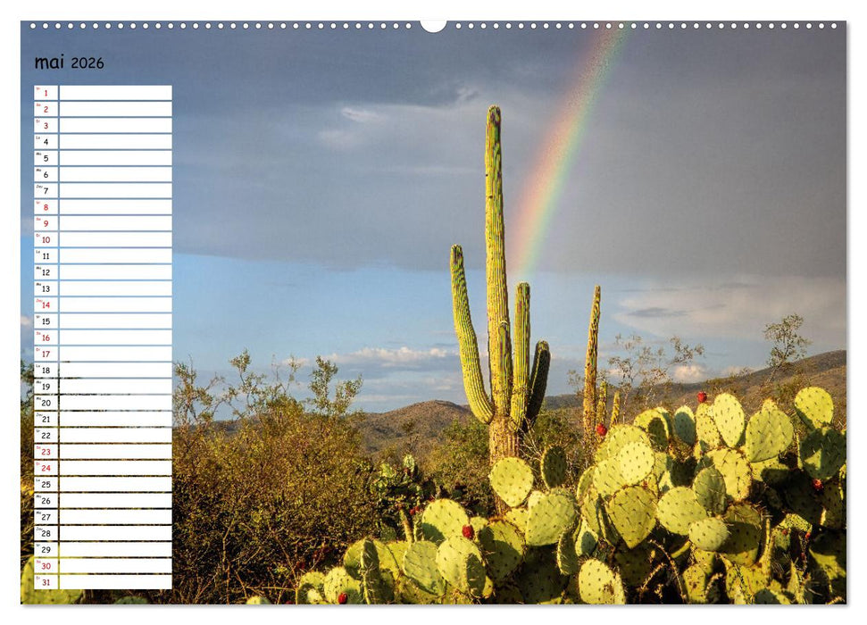 Arizona, une rencontre avec la nature (CALVENDO Calendrier mensuel 2026)