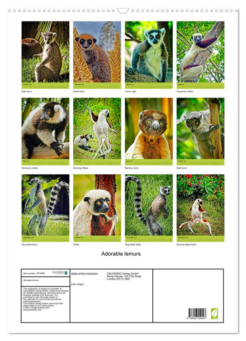 Adorable lemurs (CALVENDO Monthly Calendar 2026)