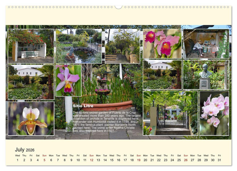 Enchanting Tenerife (CALVENDO Premium-Calendar 2026)