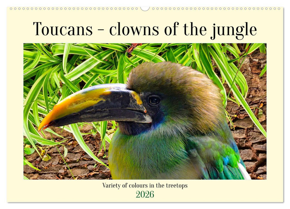 Toucans - clowns of the jungle (CALVENDO Monthly Calendar 2026)