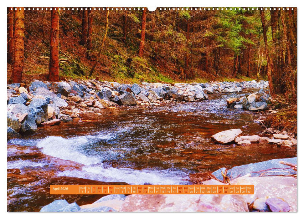 Unique Thuringian Forest (CALVENDO Monthly Calendar 2026)