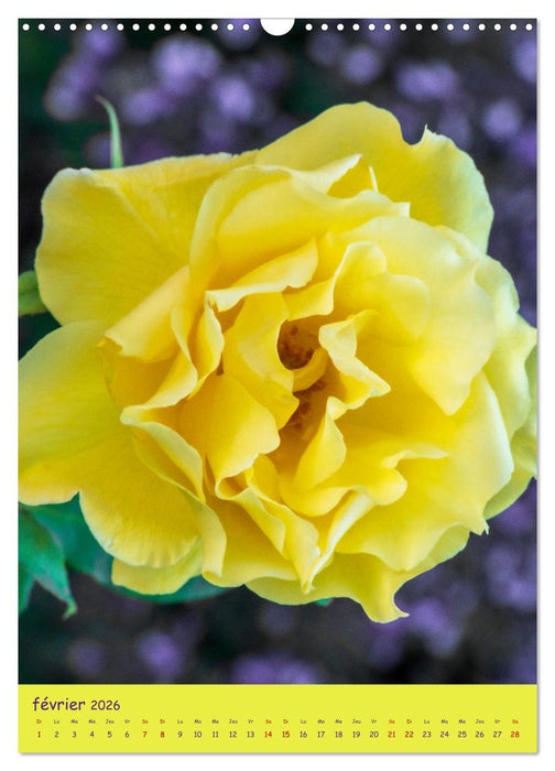 Promenade florale (CALVENDO Calendrier mensuel 2026)