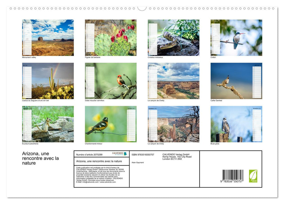 Arizona, une rencontre avec la nature (CALVENDO Calendrier supérieur 2026)