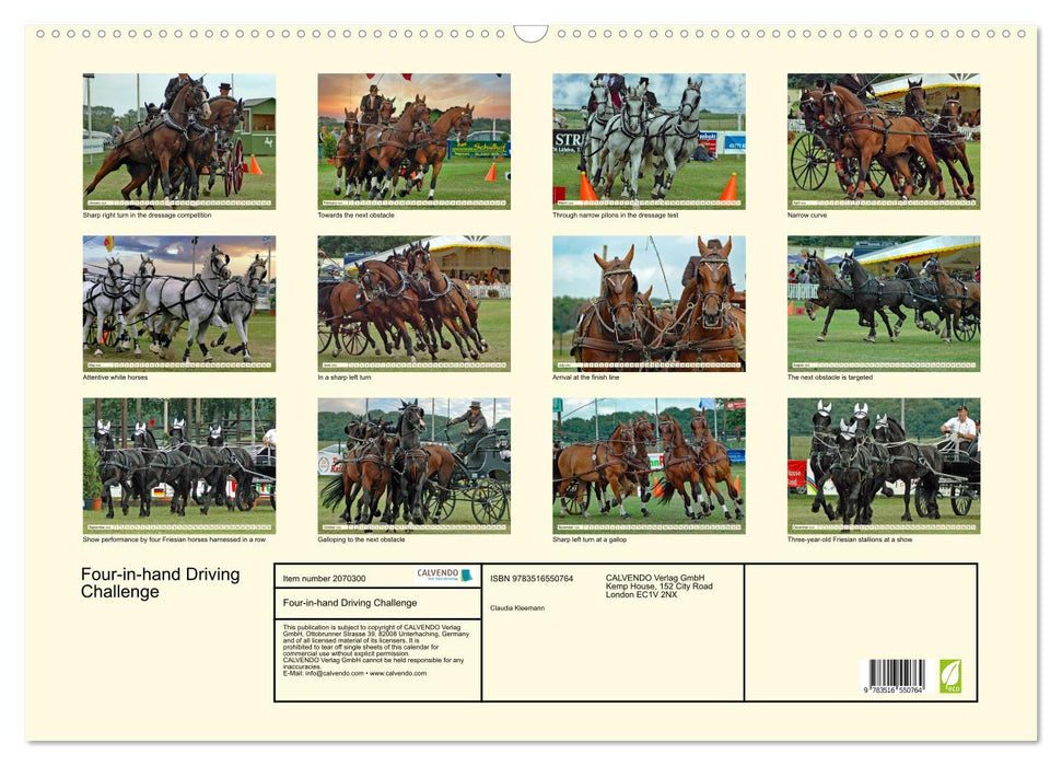 Four-in-hand Driving Challenge (CALVENDO Monthly Calendar 2026)