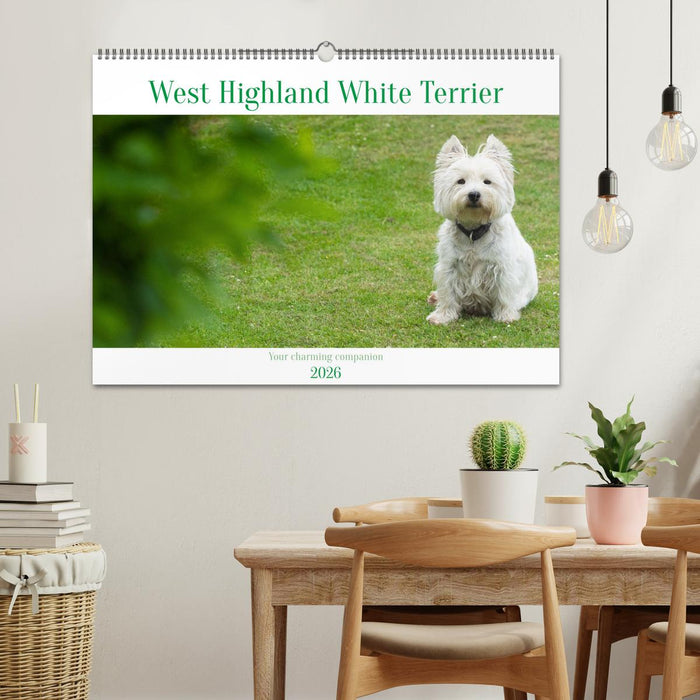 West Highland White Terrier - Your charming companion (CALVENDO Monthly Calendar 2026)